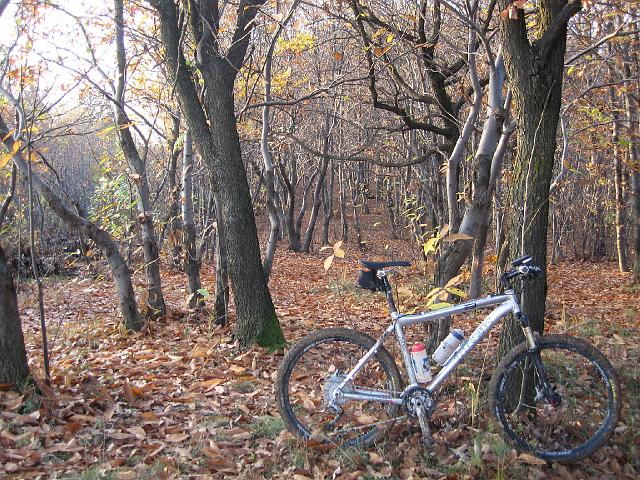 bici olera 043.JPG